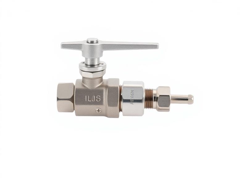 Needle Valves